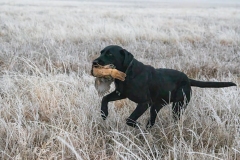 January 4, 2025 NAGDA Trails Goodland, KS