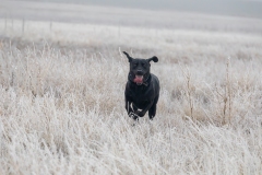 P0A8865-Enhanced-NR-Edit