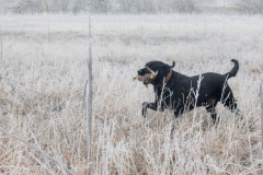 P0A8887-Enhanced-NR-Edit