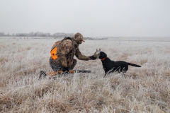 P0A8964-Enhanced-NR-Edit