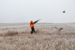 P0A8992-Enhanced-NR-Edit