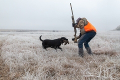 P0A9164-Enhanced-NR-Edit