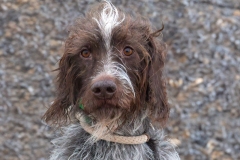 P0A9199-Enhanced-NR-Edit